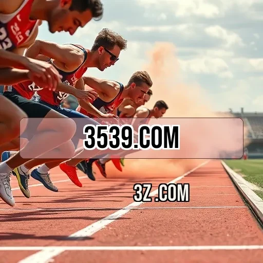 Dicas Especiais Para Aumentar Suas Chances No 3539.com